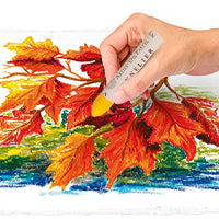 Oil Pastels  Art Supplies Online Australia - Same Day Shipping