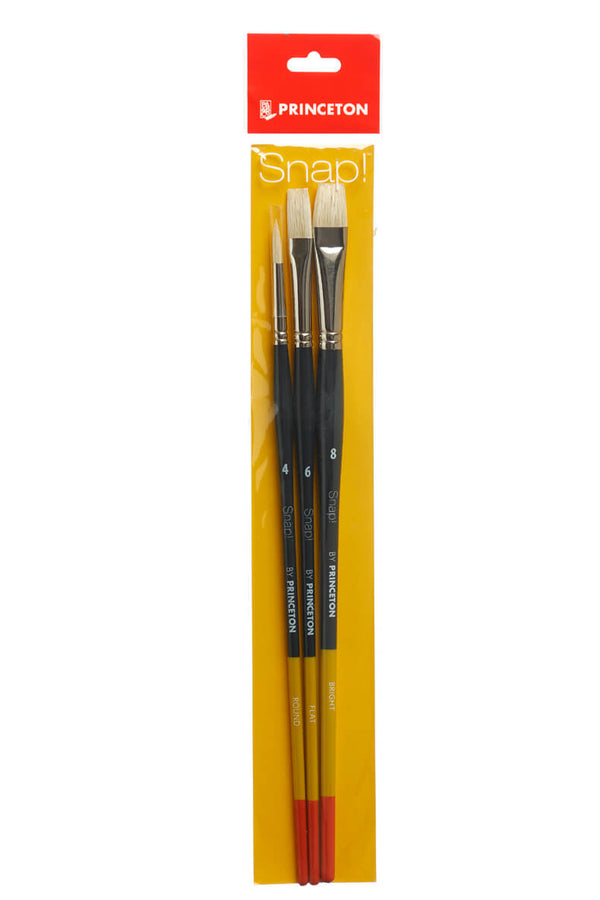 Princeton Snap! Natural Hog Bristle Long Handle Brush Set 3